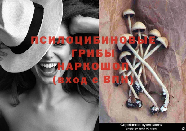 меф Михайловск