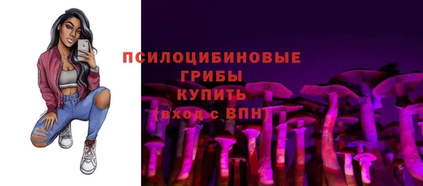 индика Нея