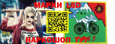 шишки Аргун