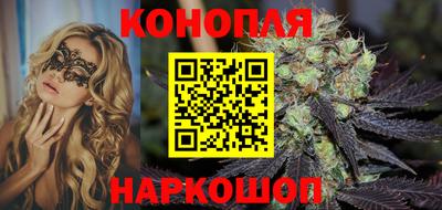 шишки Аргун