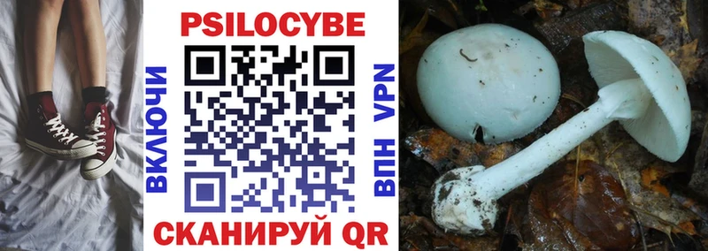 ОМГ ОМГ ссылка  Новодвинск  Псилоцибиновые грибы мухоморы 