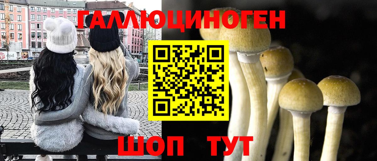 Галлюциногенные грибы GOLDEN TEACHER  Новодвинск  Псилоцибиновые грибы мухоморы 