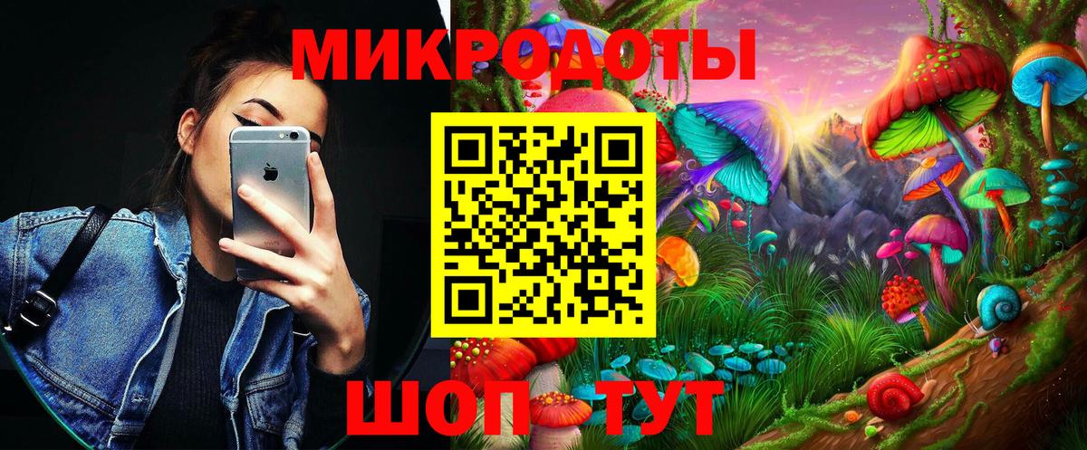 Галлюциногенные грибы Cubensis Новодвинск