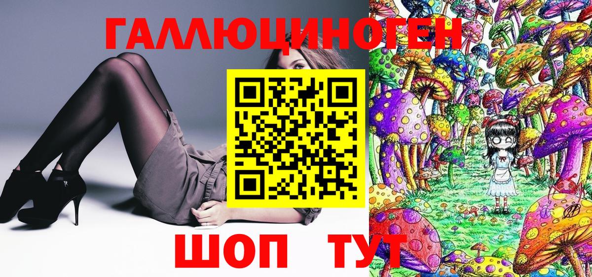 Галлюциногенные грибы Psilocybe Новодвинск