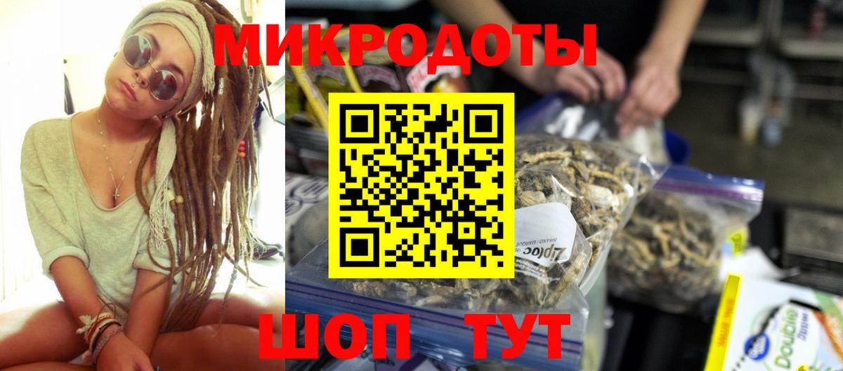 Новодвинск  Псилоцибиновые грибы Psilocybe  Вход с VPN 
