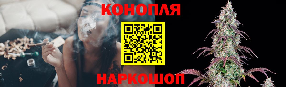 Бошки марихуана OG Kush Новодвинск